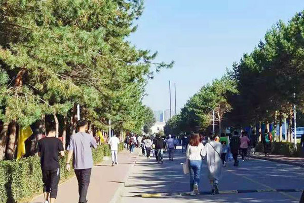 新疆成人高考有可以报的本地院校